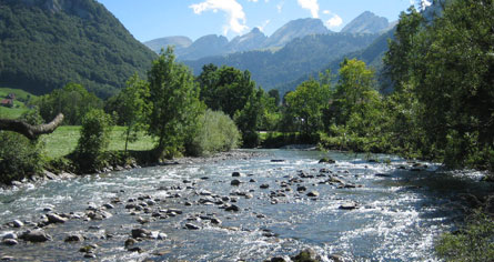 Flyfishing in Switzerland